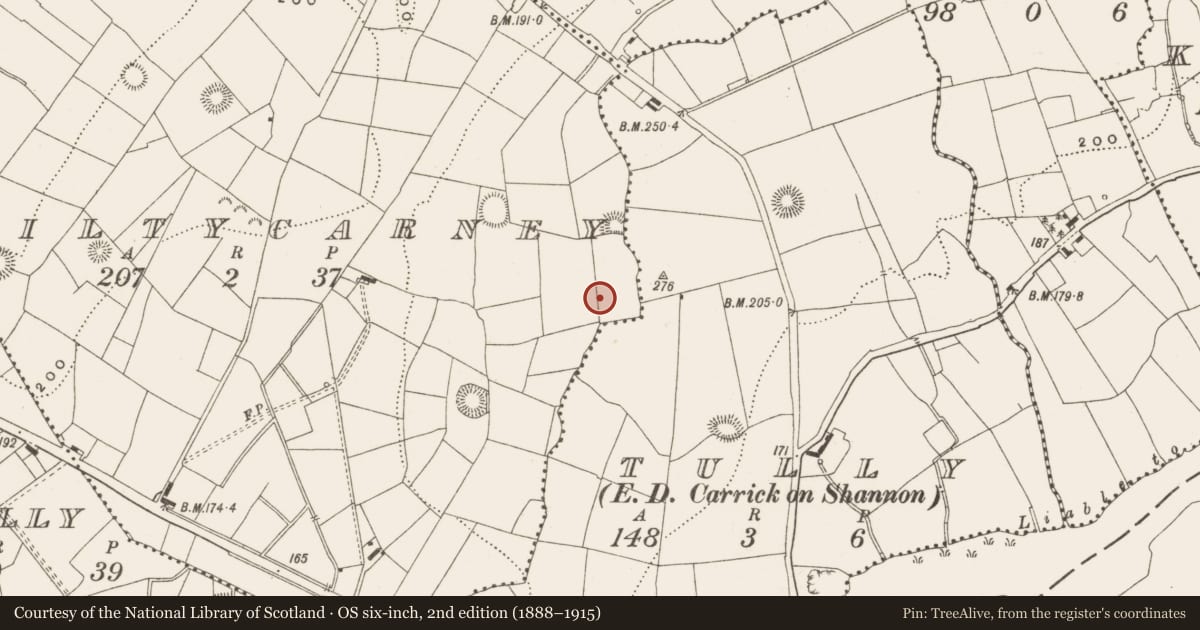 Ordnance Survey six-inch map, 2nd edition (1888–1915) covering the location of Ringfort - rath, Kiltycarney, County Leitrim, with a pin at the register's coordinates