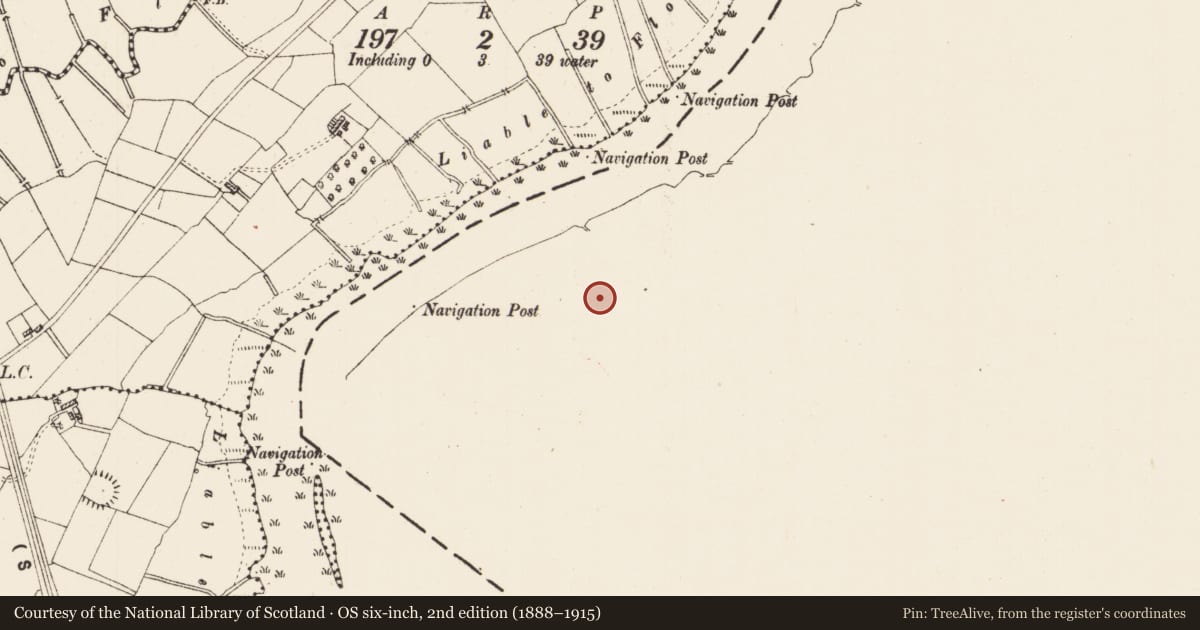 Ordnance Survey six-inch map, 2nd edition (1888–1915) covering the location of Field system, Inishmucker Island, County Leitrim, with a pin at the register's coordinates