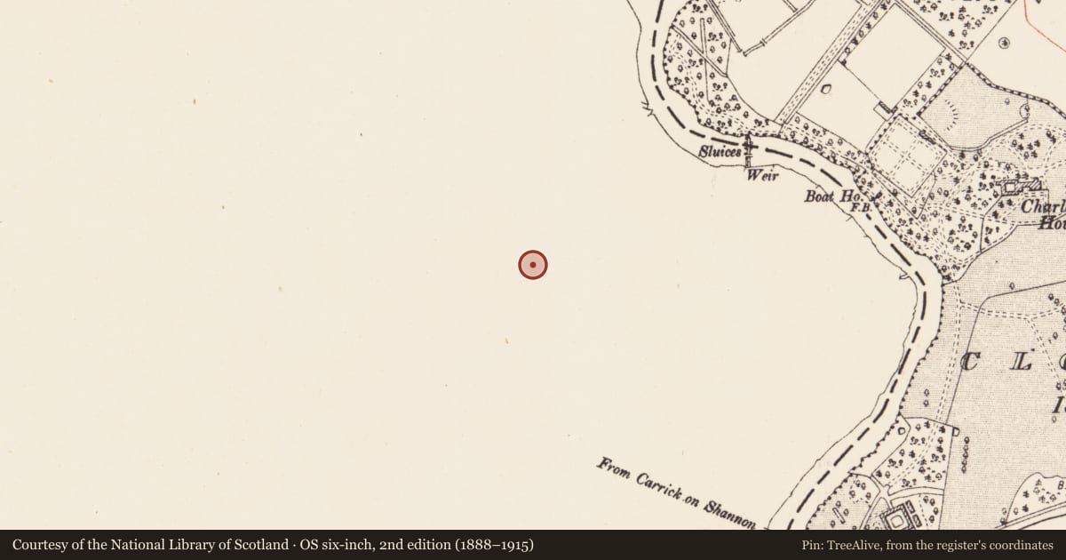 Ordnance Survey six-inch map, 2nd edition (1888–1915) covering the location of Ringfort - rath, Jamestown, County Leitrim, with a pin at the register's coordinates