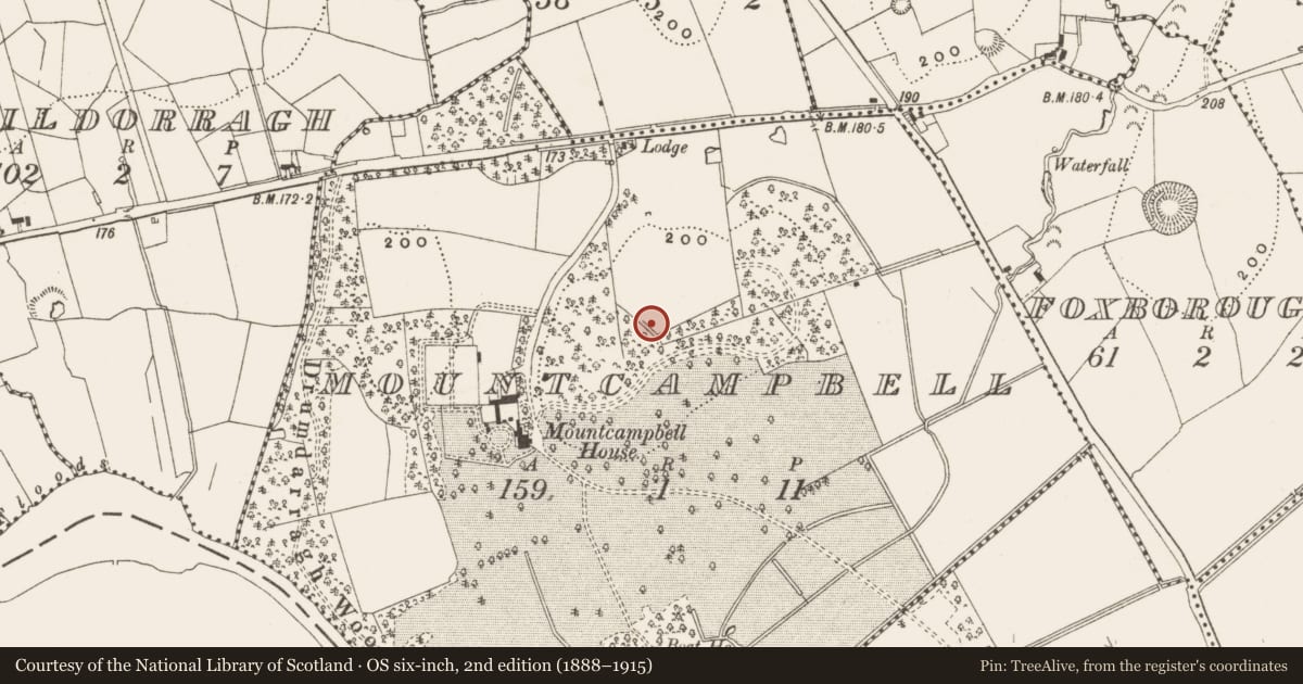 Ordnance Survey six-inch map, 2nd edition (1888–1915) covering the location of Ringfort - rath, Mountcampbell, County Leitrim, with a pin at the register's coordinates