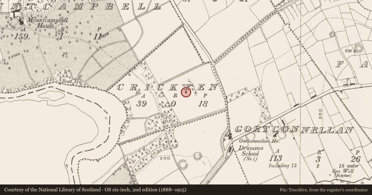 Ordnance Survey six-inch map, 2nd edition (1888–1915) covering the location of Ringfort - rath, Crickeen, County Leitrim, with a pin at the register's coordinates