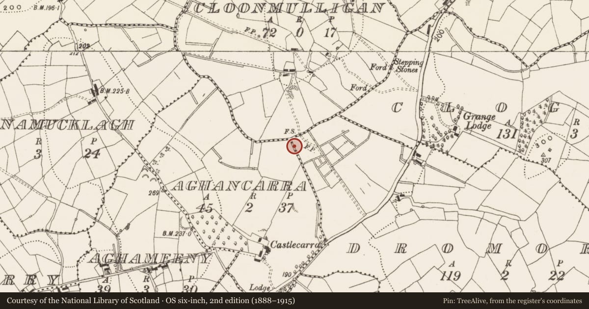 Ordnance Survey six-inch map, 2nd edition (1888–1915) covering the location of Ringfort - rath, Dromore, County Leitrim, with a pin at the register's coordinates