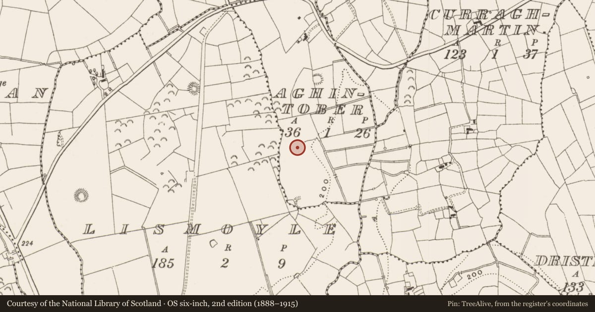 Ordnance Survey six-inch map, 2nd edition (1888–1915) covering the location of Ritual site - holy tree/bush, Aghintober, County Leitrim, with a pin at the register's coordinates