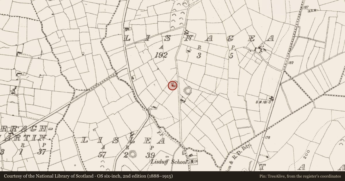Ordnance Survey six-inch map, 2nd edition (1888–1915) covering the location of Ringfort - rath, Lisnagea, County Leitrim, with a pin at the register's coordinates