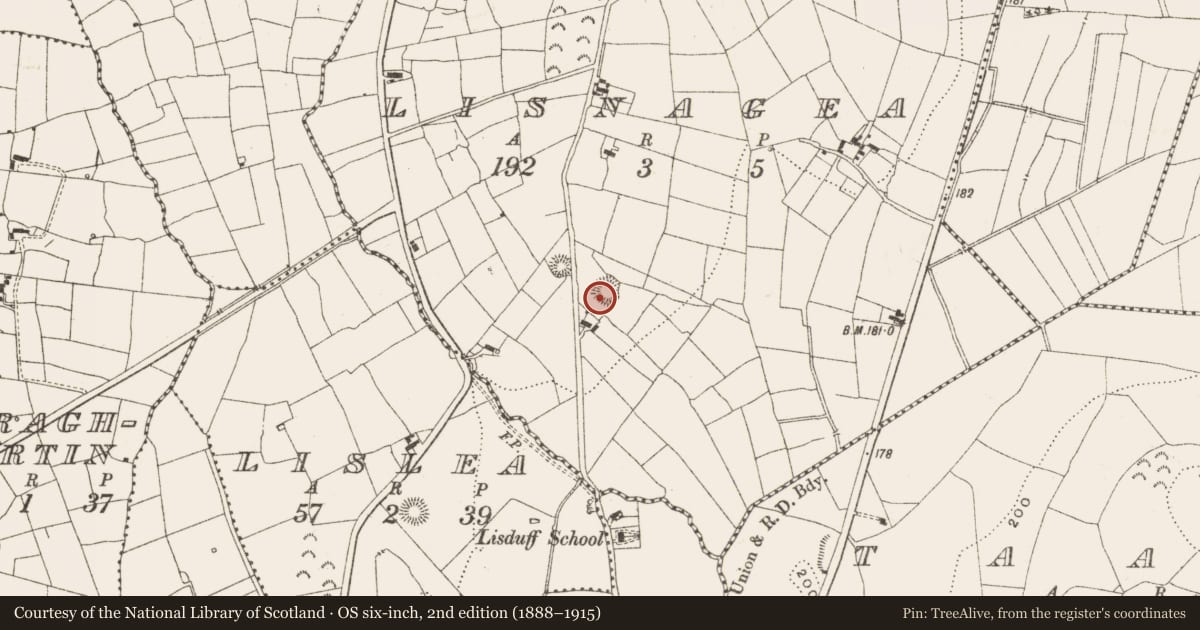Ordnance Survey six-inch map, 2nd edition (1888–1915) covering the location of Ringfort - rath, Lisnagea, County Leitrim, with a pin at the register's coordinates