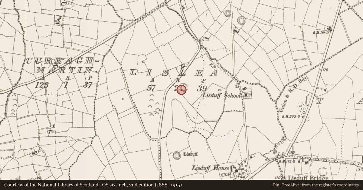 Ordnance Survey six-inch map, 2nd edition (1888–1915) covering the location of Ringfort - rath, Lislea, County Leitrim, with a pin at the register's coordinates