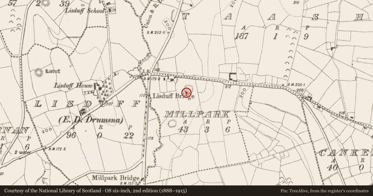Ordnance Survey six-inch map, 2nd edition (1888–1915) covering the location of Ringfort - rath, Millpark, County Leitrim, with a pin at the register's coordinates