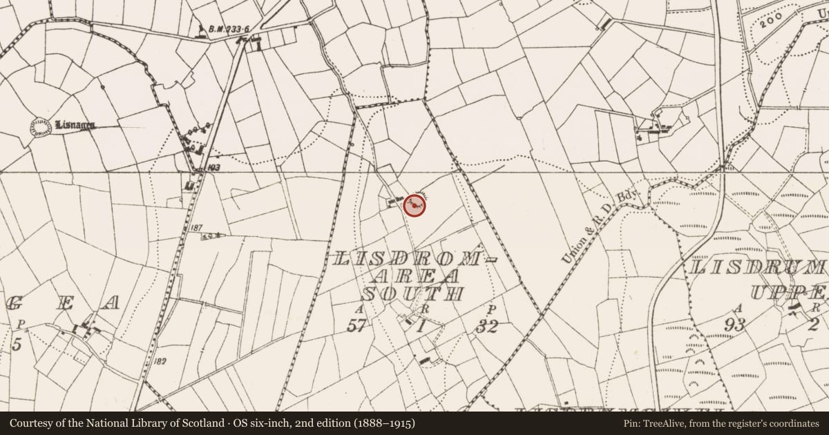 Ordnance Survey six-inch map, 2nd edition (1888–1915) covering the location of Ringfort - rath, Lisdromarea South, County Leitrim, with a pin at the register's coordinates