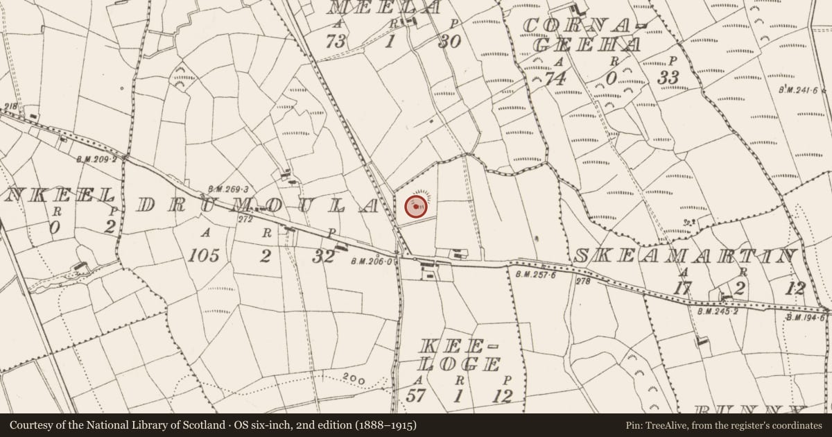 Ordnance Survey six-inch map, 2nd edition (1888–1915) covering the location of Ringfort - rath, Keeloge, County Leitrim, with a pin at the register's coordinates