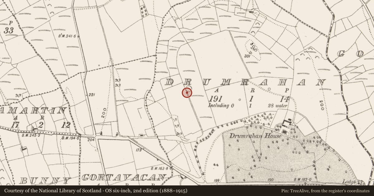 Ordnance Survey six-inch map, 2nd edition (1888–1915) covering the location of Ringfort - rath, Drumrahan, County Leitrim, with a pin at the register's coordinates