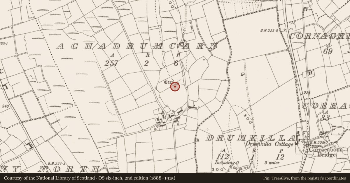 Ordnance Survey six-inch map, 2nd edition (1888–1915) covering the location of Cairn - unclassified, Aghadrumcarn, County Leitrim, with a pin at the register's coordinates