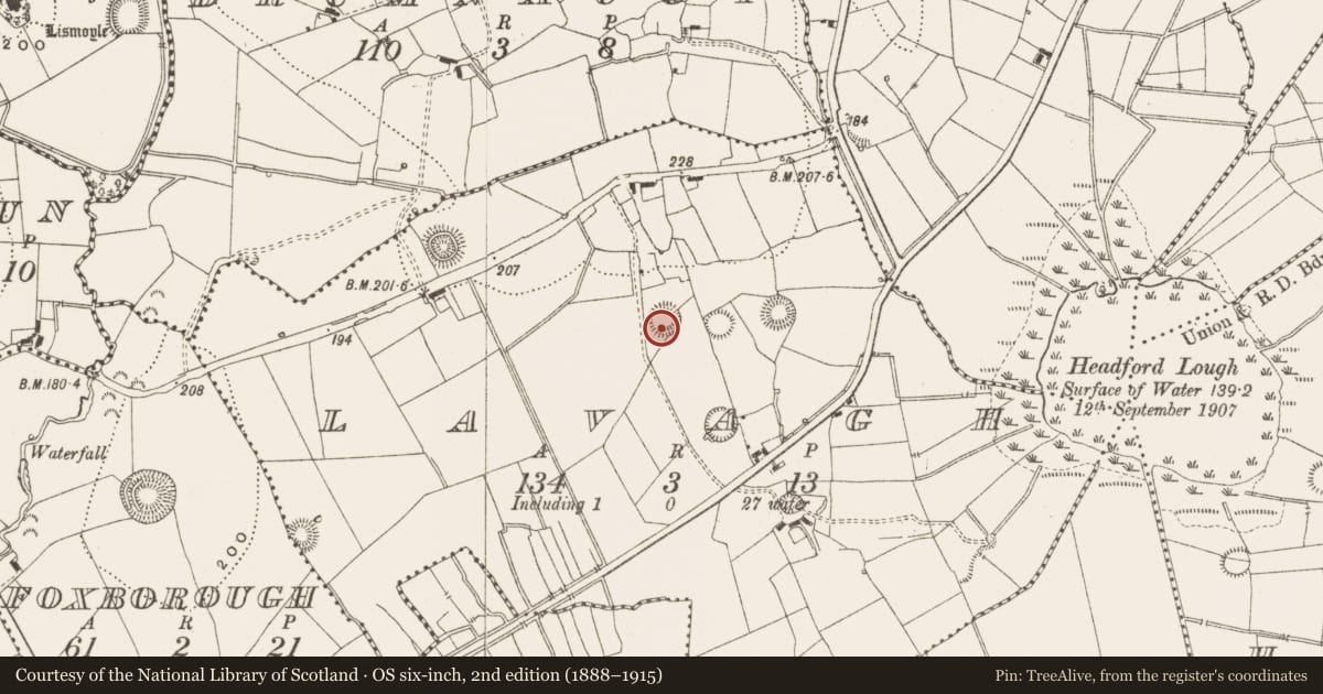 Ordnance Survey six-inch map, 2nd edition (1888–1915) covering the location of Ringfort - rath, Lavagh, County Leitrim, with a pin at the register's coordinates