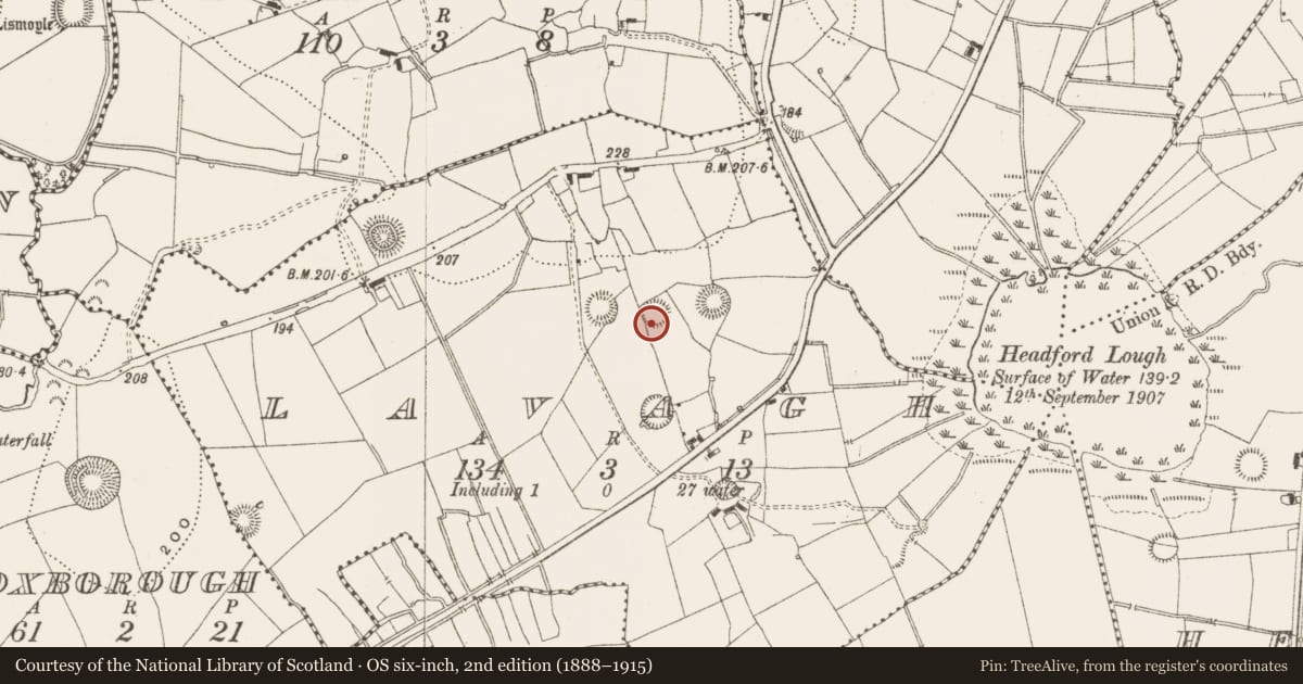 Ordnance Survey six-inch map, 2nd edition (1888–1915) covering the location of Ringfort - rath, Lavagh, County Leitrim, with a pin at the register's coordinates