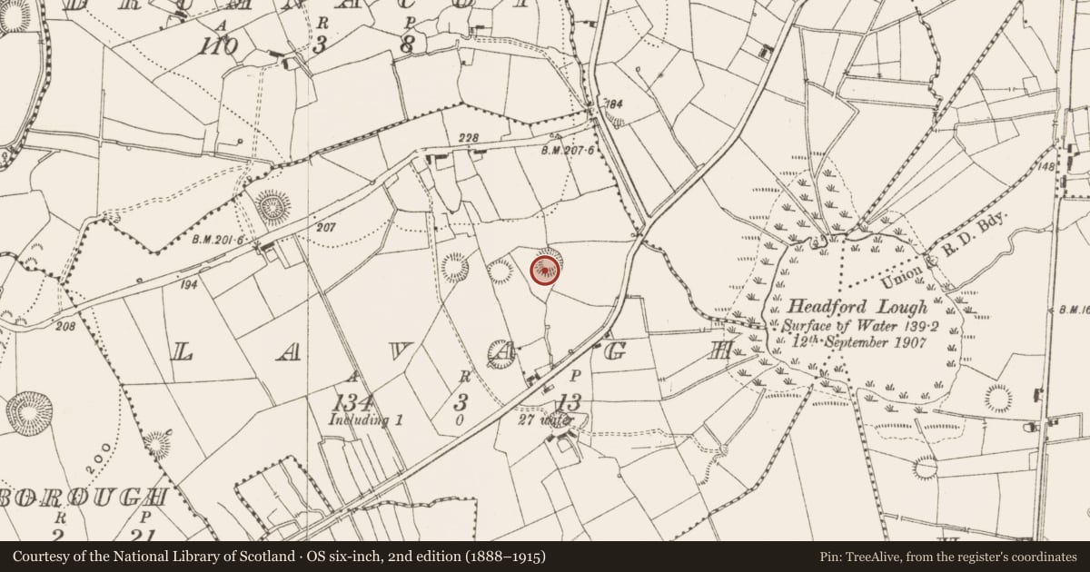 Ordnance Survey six-inch map, 2nd edition (1888–1915) covering the location of Ringfort - rath, Lavagh, County Leitrim, with a pin at the register's coordinates