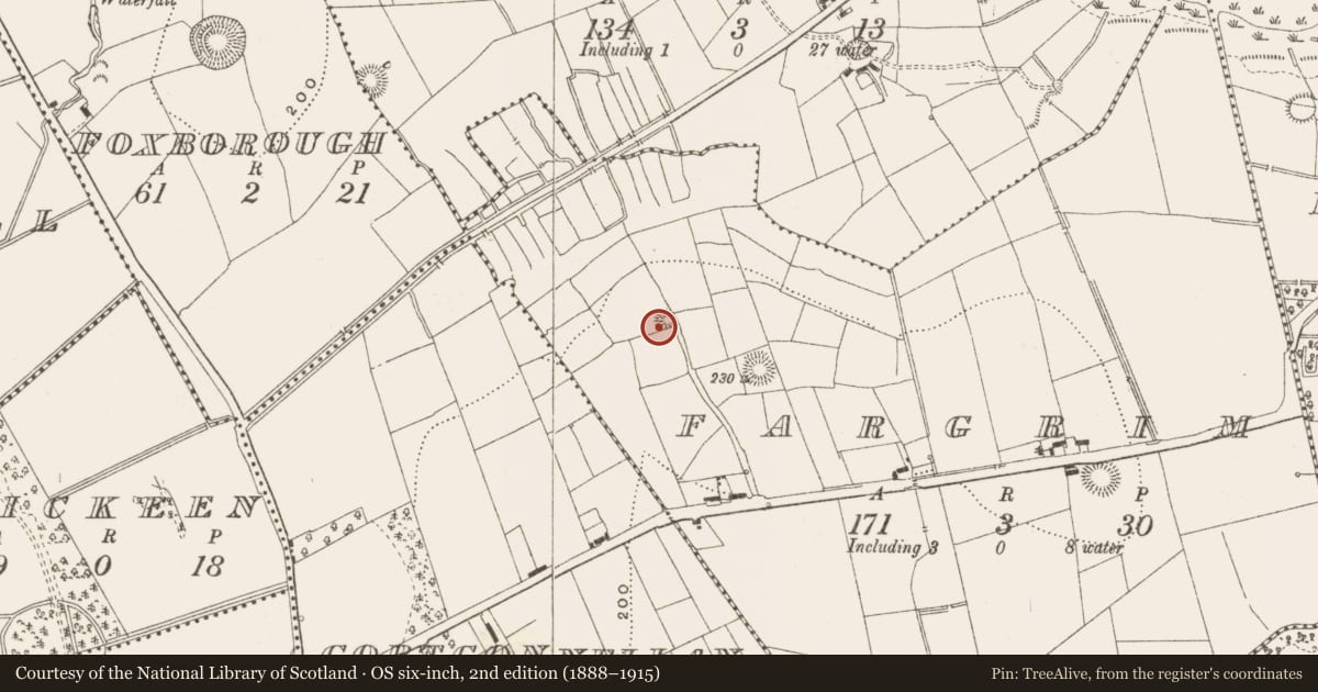 Ordnance Survey six-inch map, 2nd edition (1888–1915) covering the location of Ringfort - rath, Fargrim, County Leitrim, with a pin at the register's coordinates