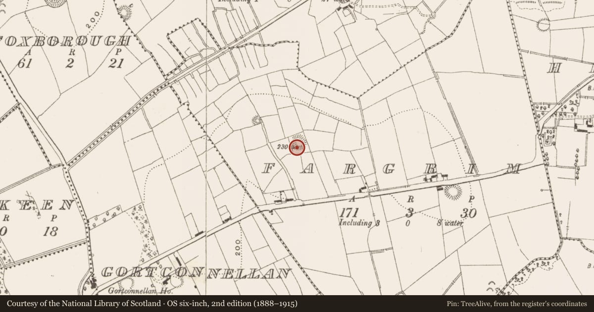 Ordnance Survey six-inch map, 2nd edition (1888–1915) covering the location of Ringfort - rath, Fargrim, County Leitrim, with a pin at the register's coordinates