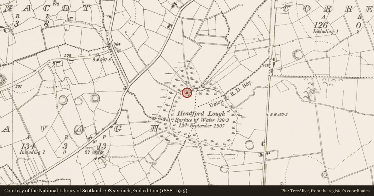 Ordnance Survey six-inch map, 2nd edition (1888–1915) covering the location of Crannog, Dristernan, County Leitrim, with a pin at the register's coordinates