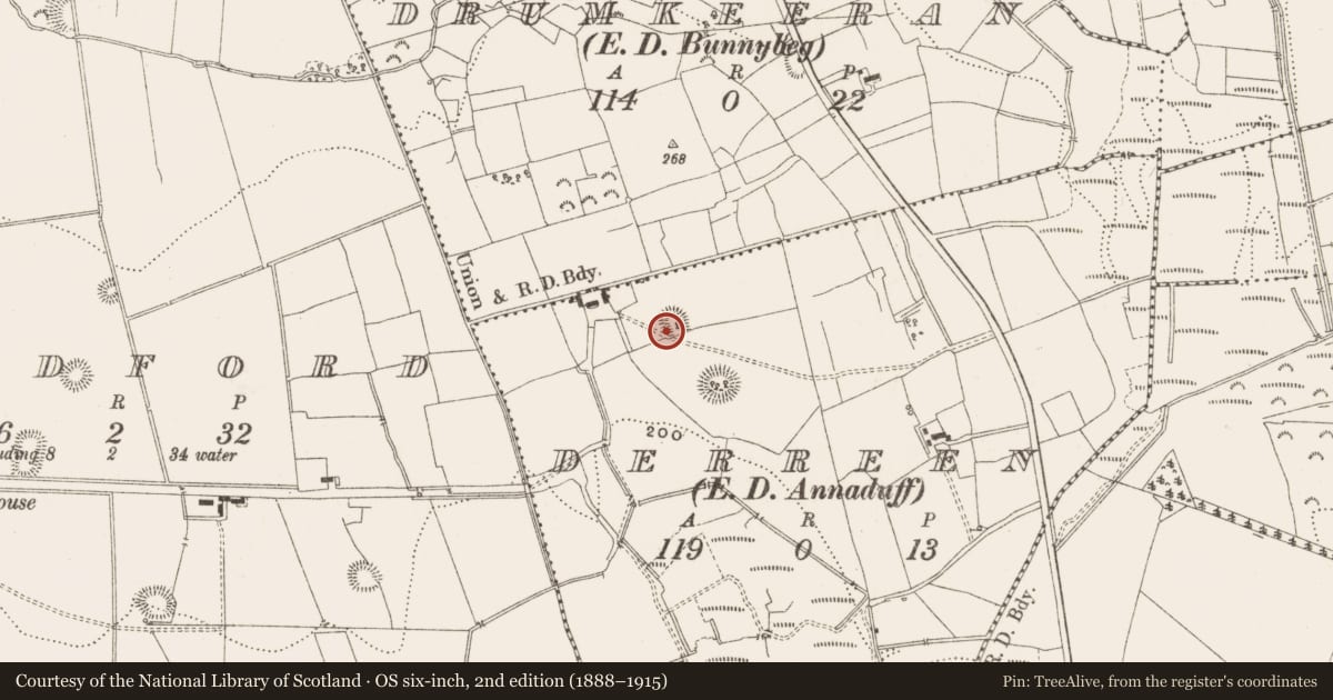 Ordnance Survey six-inch map, 2nd edition (1888–1915) covering the location of Ringfort - rath, Derreen, County Leitrim, with a pin at the register's coordinates