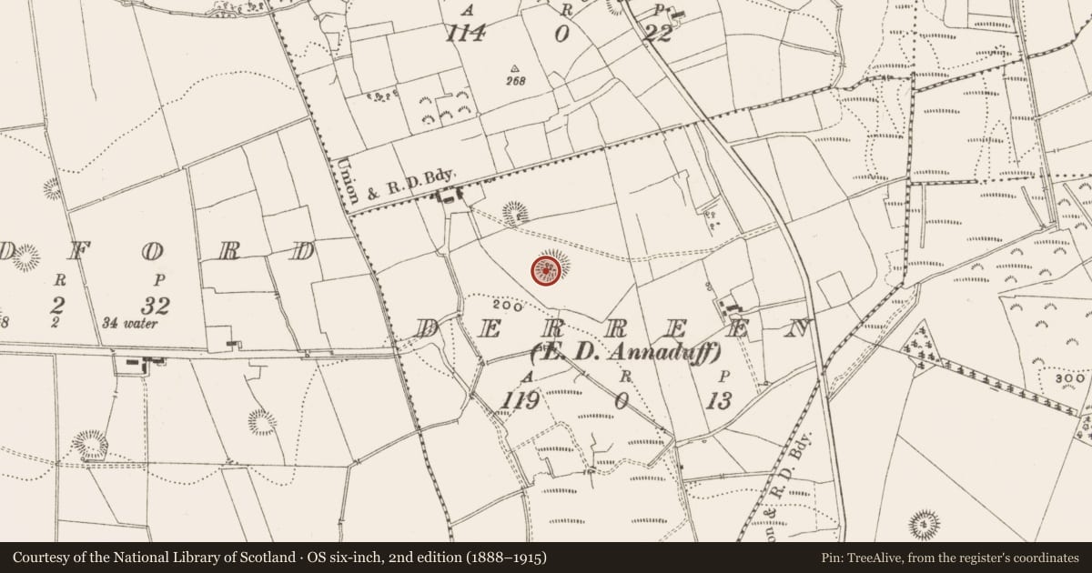 Ordnance Survey six-inch map, 2nd edition (1888–1915) covering the location of Ringfort - rath, Derreen, County Leitrim, with a pin at the register's coordinates
