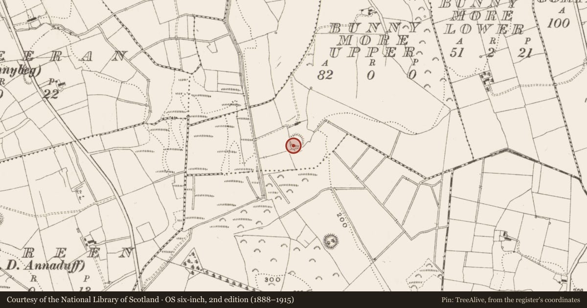 Ordnance Survey six-inch map, 2nd edition (1888–1915) covering the location of Ringfort - rath, Bunny More Upper, County Leitrim, with a pin at the register's coordinates