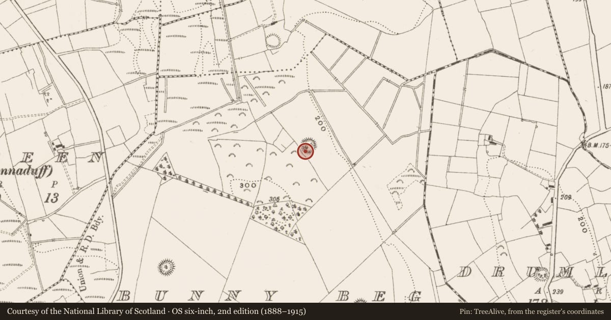 Ordnance Survey six-inch map, 2nd edition (1888–1915) covering the location of Ringfort - rath, Bunny Beg, County Leitrim, with a pin at the register's coordinates