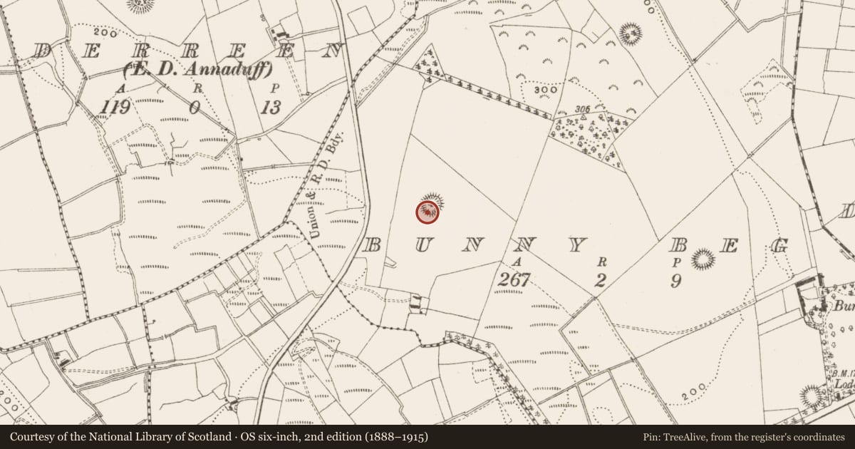 Ordnance Survey six-inch map, 2nd edition (1888–1915) covering the location of Ringfort - rath, Bunny Beg, County Leitrim, with a pin at the register's coordinates