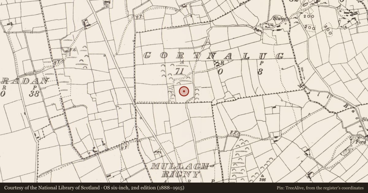 Ordnance Survey six-inch map, 2nd edition (1888–1915) covering the location of Ringfort - rath, Gortnalug, County Leitrim, with a pin at the register's coordinates
