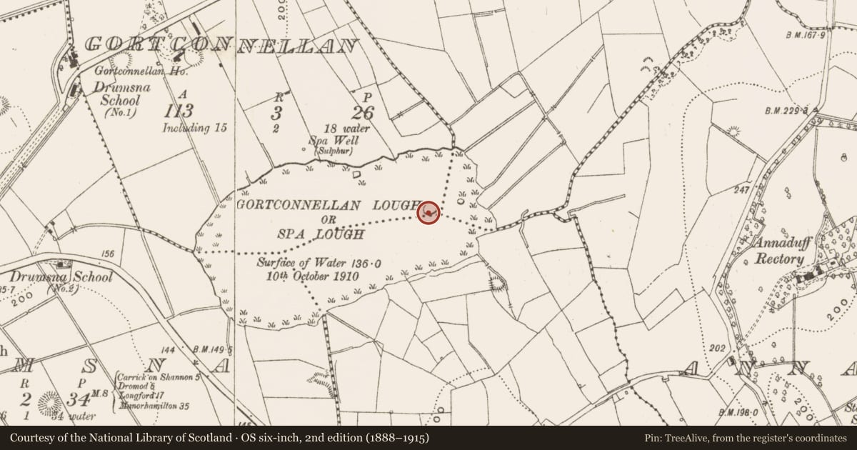 Ordnance Survey six-inch map, 2nd edition (1888–1915) covering the location of Crannog, Gortconnellan, County Leitrim, with a pin at the register's coordinates