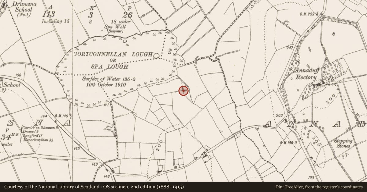 Ordnance Survey six-inch map, 2nd edition (1888–1915) covering the location of Enclosure, Annaduff, County Leitrim, with a pin at the register's coordinates