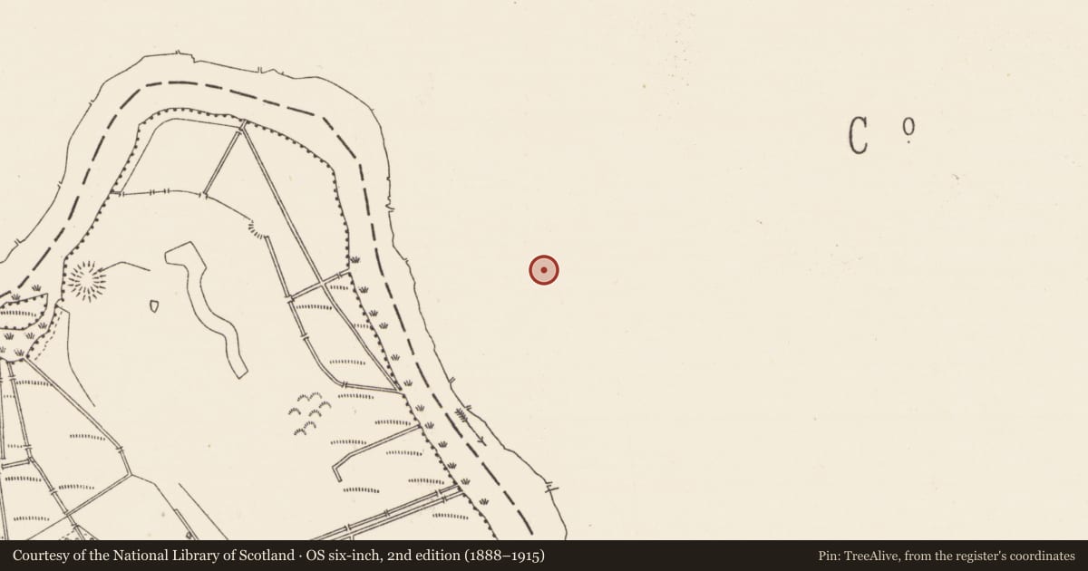 Ordnance Survey six-inch map, 2nd edition (1888–1915) covering the location of Church, Annaduff, County Leitrim, with a pin at the register's coordinates