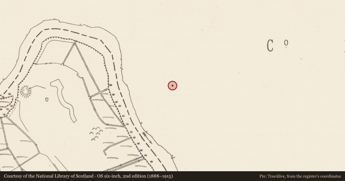 Ordnance Survey six-inch map, 2nd edition (1888–1915) covering the location of Graveyard, Annaduff, County Leitrim, with a pin at the register's coordinates