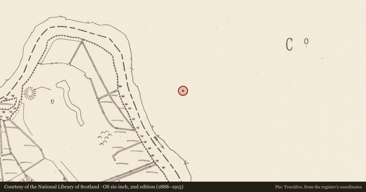 Ordnance Survey six-inch map, 2nd edition (1888–1915) covering the location of Architectural fragment, Annaduff, County Leitrim, with a pin at the register's coordinates
