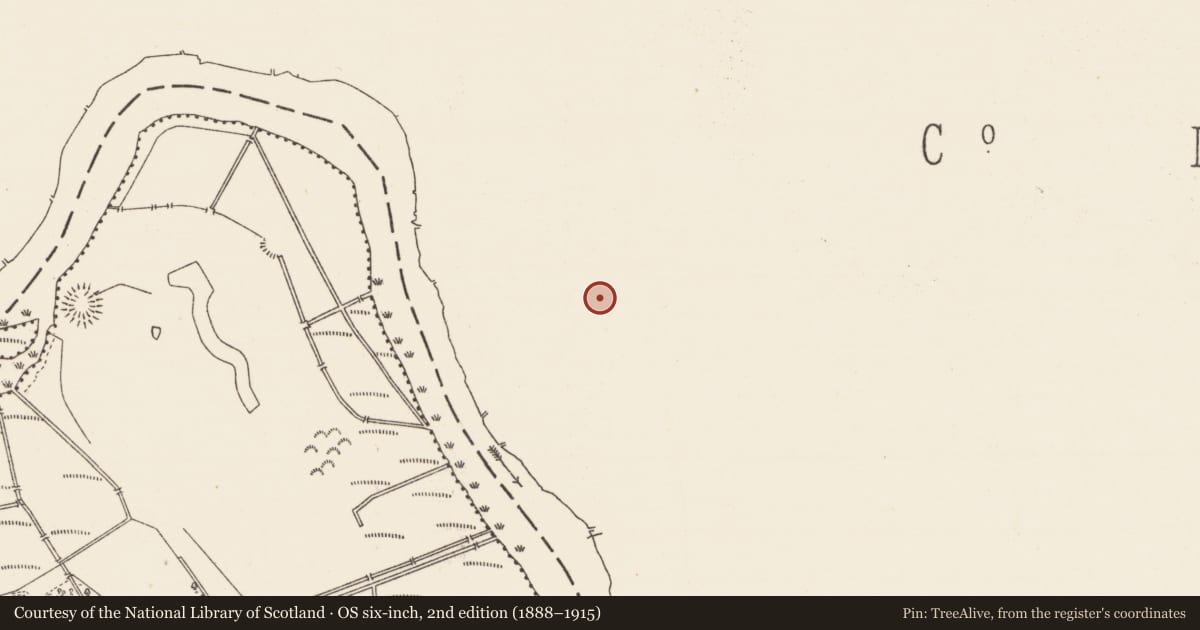 Ordnance Survey six-inch map, 2nd edition (1888–1915) covering the location of Ecclesiastical enclosure, Annaduff, County Leitrim, with a pin at the register's coordinates
