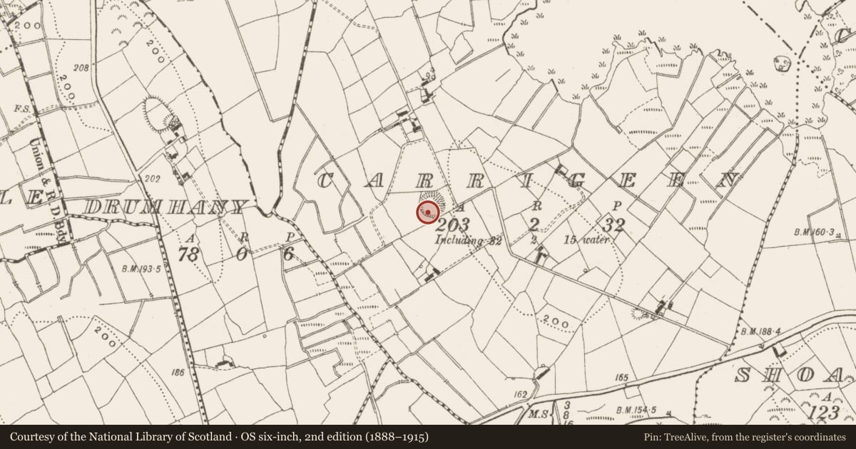 Ordnance Survey six-inch map, 2nd edition (1888–1915) covering the location of Ringfort - rath, Carrigeen, County Leitrim, with a pin at the register's coordinates