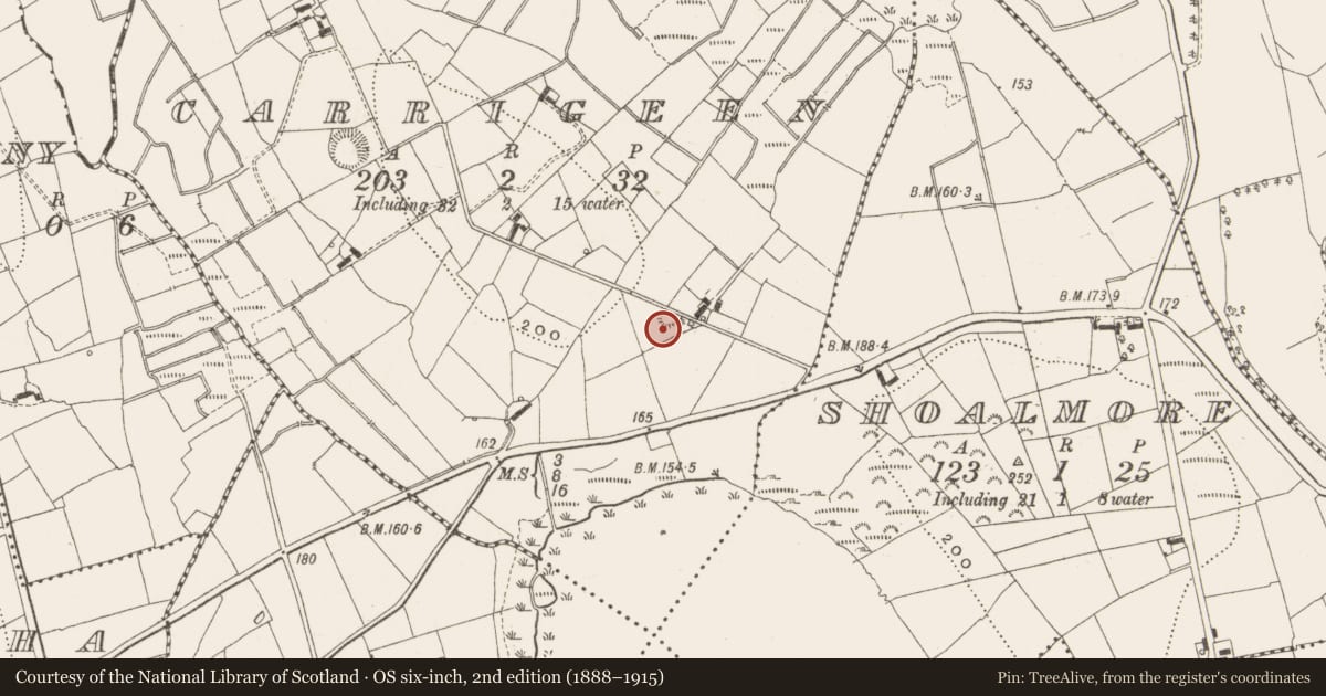 Ordnance Survey six-inch map, 2nd edition (1888–1915) covering the location of Ringfort - rath, Carrigeen, County Leitrim, with a pin at the register's coordinates
