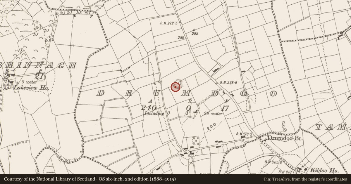 Ordnance Survey six-inch map, 2nd edition (1888–1915) covering the location of Ringfort - rath, Drumdoo, County Leitrim, with a pin at the register's coordinates
