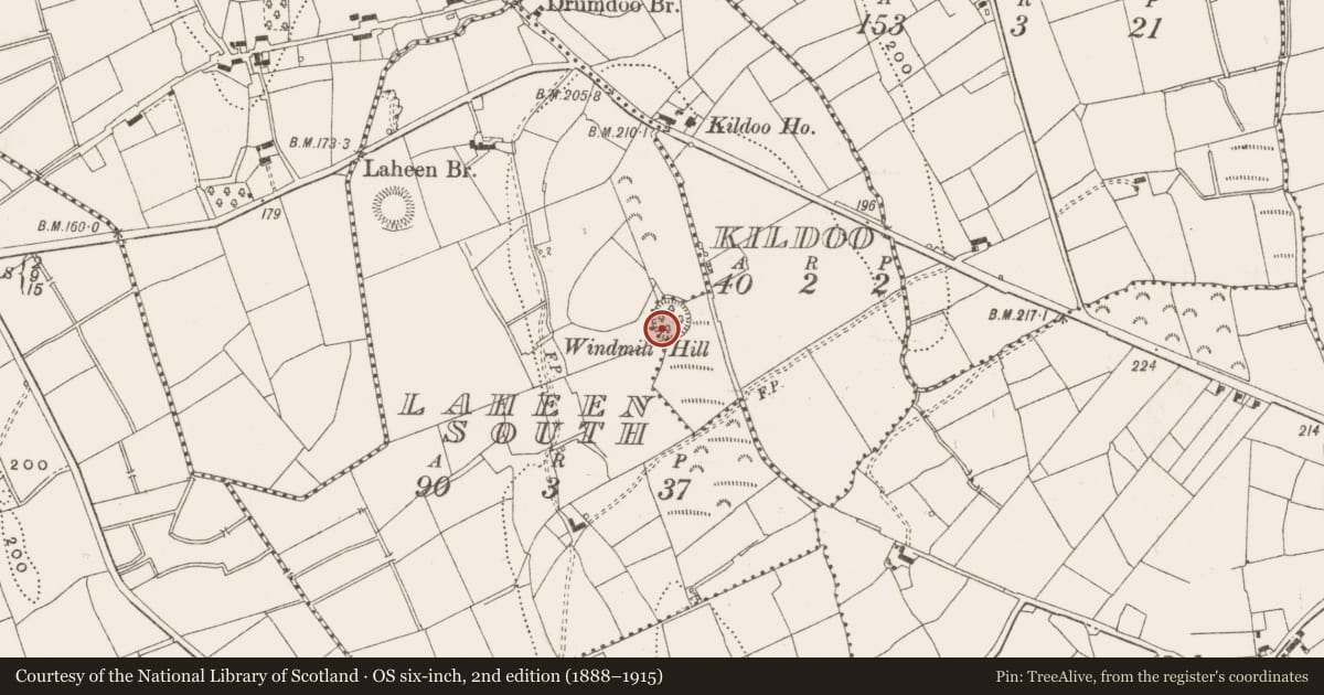 Ordnance Survey six-inch map, 2nd edition (1888–1915) covering the location of Ringfort - rath, Kildoo, County Leitrim, with a pin at the register's coordinates
