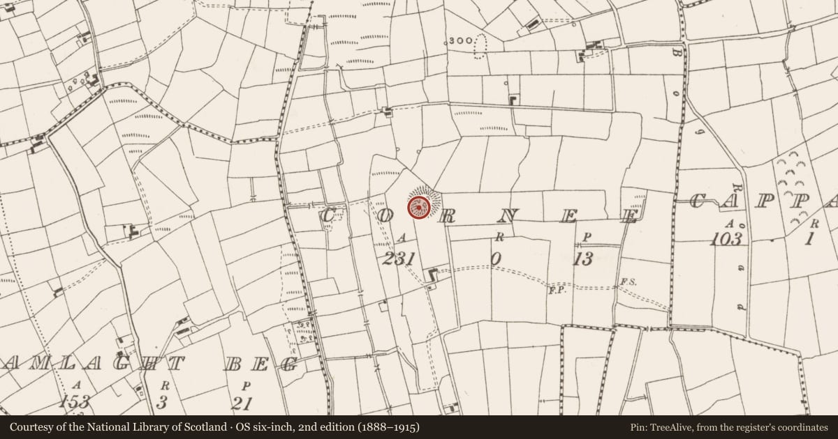 Ordnance Survey six-inch map, 2nd edition (1888–1915) covering the location of Ringfort - rath, Cornee, County Leitrim, with a pin at the register's coordinates
