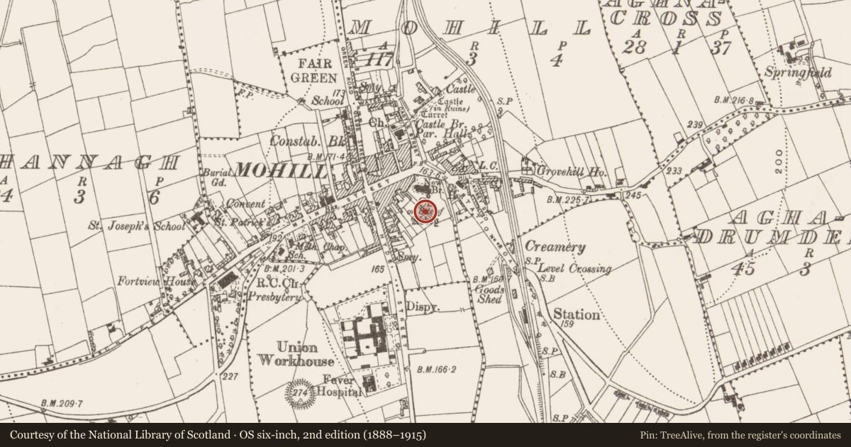 Ordnance Survey six-inch map, 2nd edition (1888–1915) covering the location of Graveyard, Mohill, County Leitrim, with a pin at the register's coordinates
