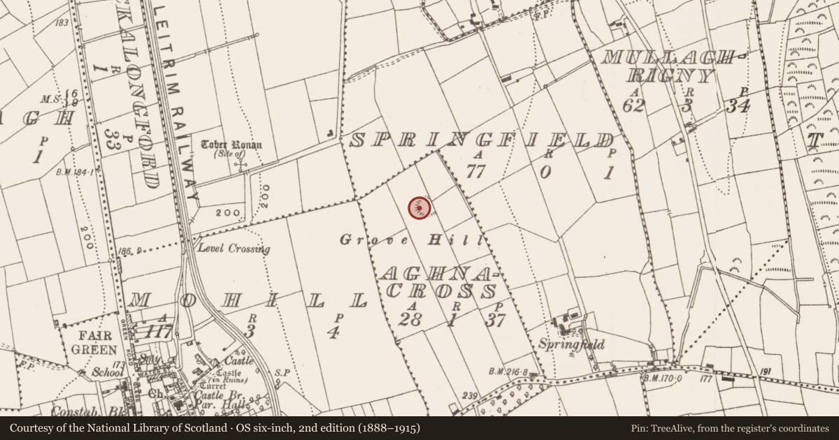 Ordnance Survey six-inch map, 2nd edition (1888–1915) covering the location of Ringfort - rath, Aghnacross, County Leitrim, with a pin at the register's coordinates
