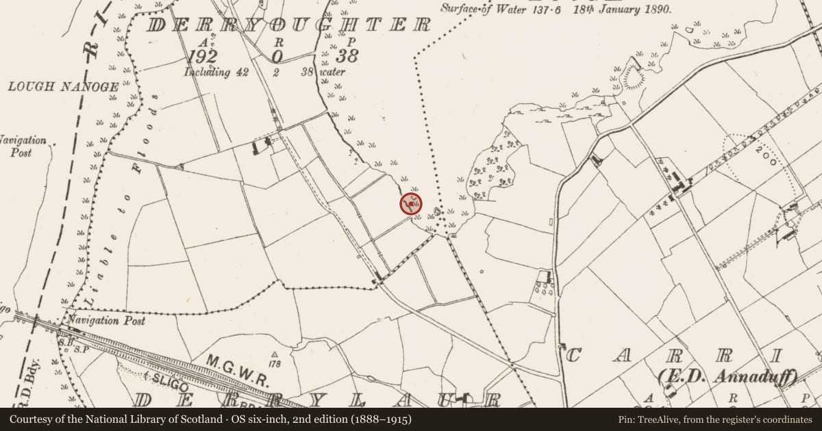 Ordnance Survey six-inch map, 2nd edition (1888–1915) covering the location of Crannog, Derryoughter, County Leitrim, with a pin at the register's coordinates