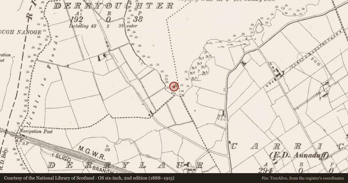 Ordnance Survey six-inch map, 2nd edition (1888–1915) covering the location of Crannog, Derryoughter, County Leitrim, with a pin at the register's coordinates