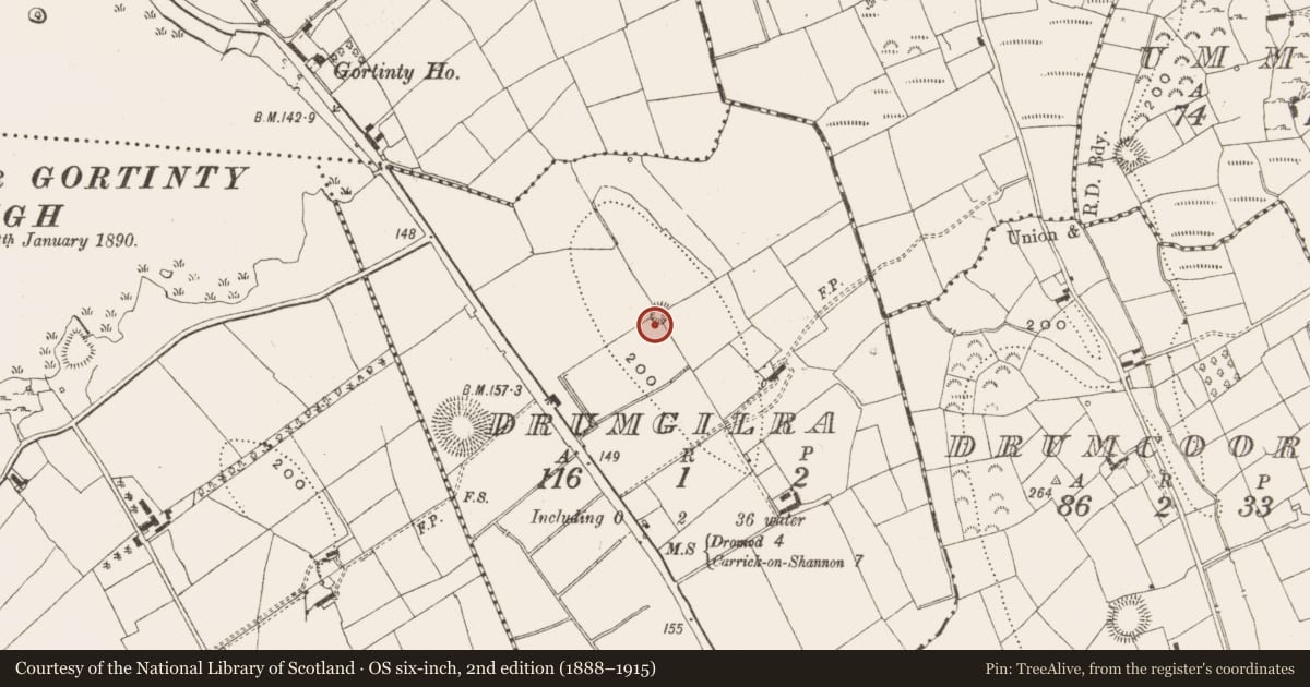 Ordnance Survey six-inch map, 2nd edition (1888–1915) covering the location of Ringfort - rath, Drumgilra, County Leitrim, with a pin at the register's coordinates