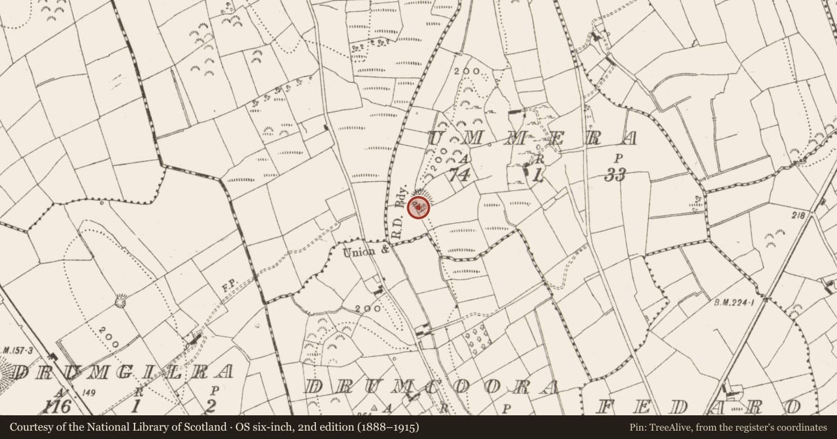 Ordnance Survey six-inch map, 2nd edition (1888–1915) covering the location of Ringfort - rath, Ummera, County Leitrim, with a pin at the register's coordinates
