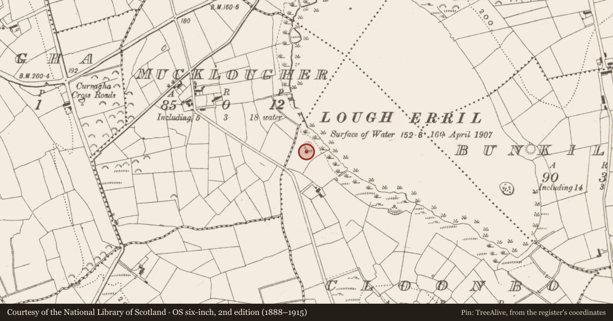 Ordnance Survey six-inch map, 2nd edition (1888–1915) covering the location of Ringfort - unclassified, Cloonbo, County Leitrim, with a pin at the register's coordinates