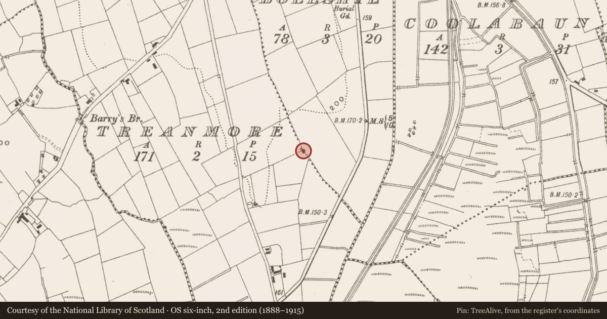 Ordnance Survey six-inch map, 2nd edition (1888–1915) covering the location of Ringfort - rath, Boeeshil, Treanmore, County Leitrim, with a pin at the register's coordinates