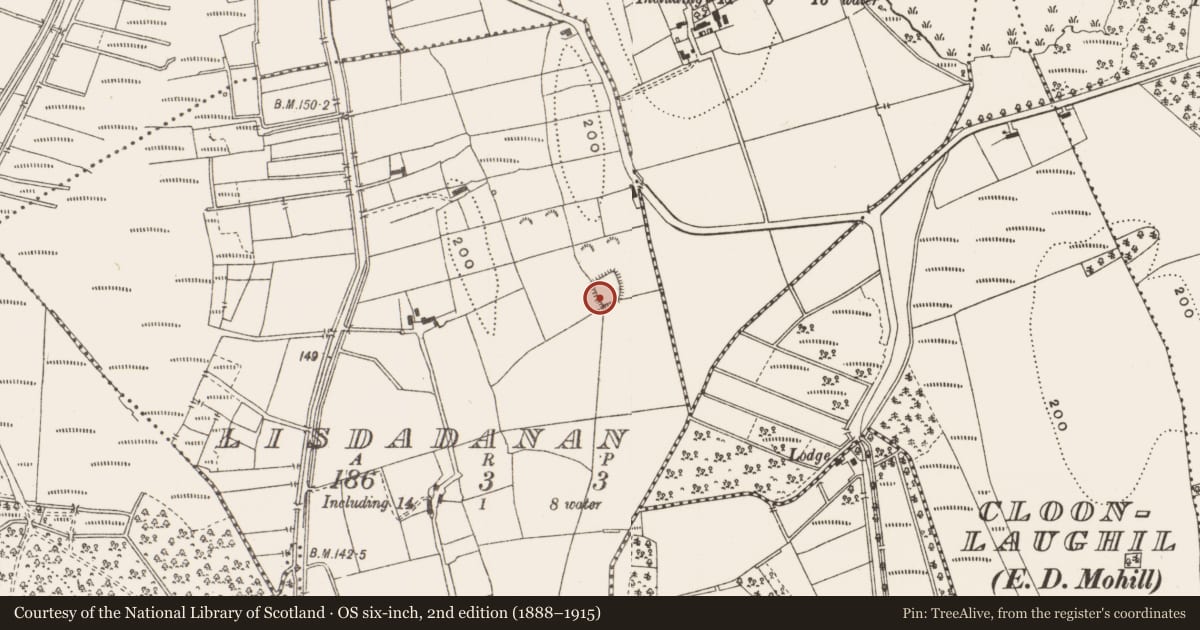 Ordnance Survey six-inch map, 2nd edition (1888–1915) covering the location of Ringfort - rath, Lisdadanan, County Leitrim, with a pin at the register's coordinates