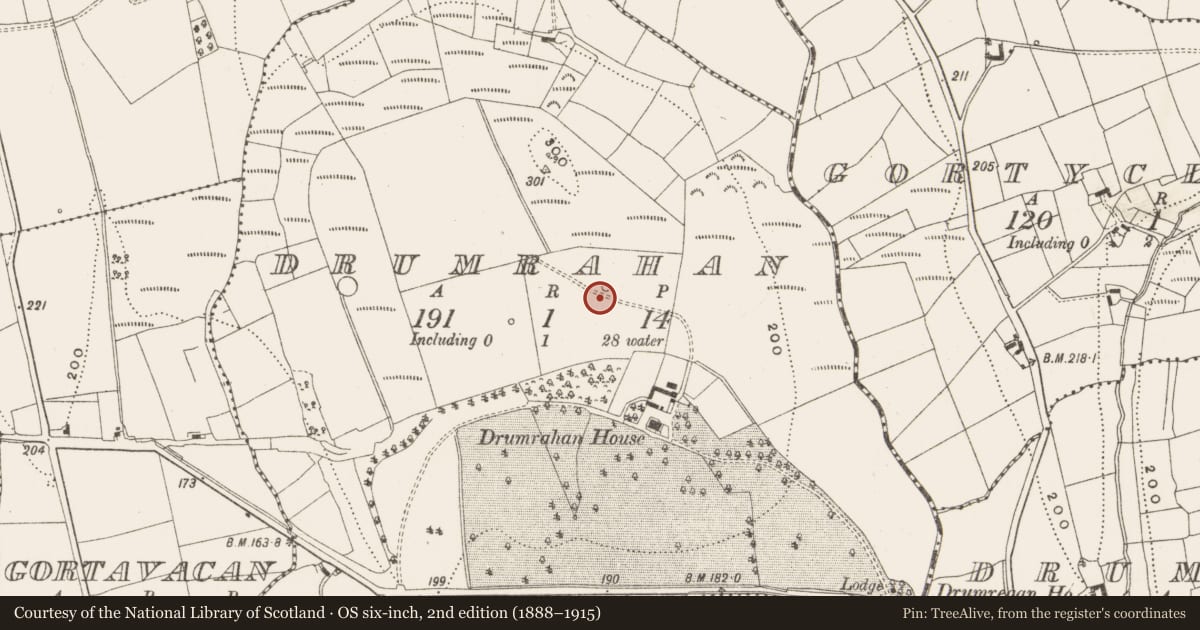 Ordnance Survey six-inch map, 2nd edition (1888–1915) covering the location of Enclosure, Drumrahan, County Leitrim, with a pin at the register's coordinates