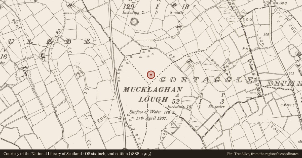Ordnance Survey six-inch map, 2nd edition (1888–1915) covering the location of Crannog, Mucklaghan Glebe, County Leitrim, with a pin at the register's coordinates