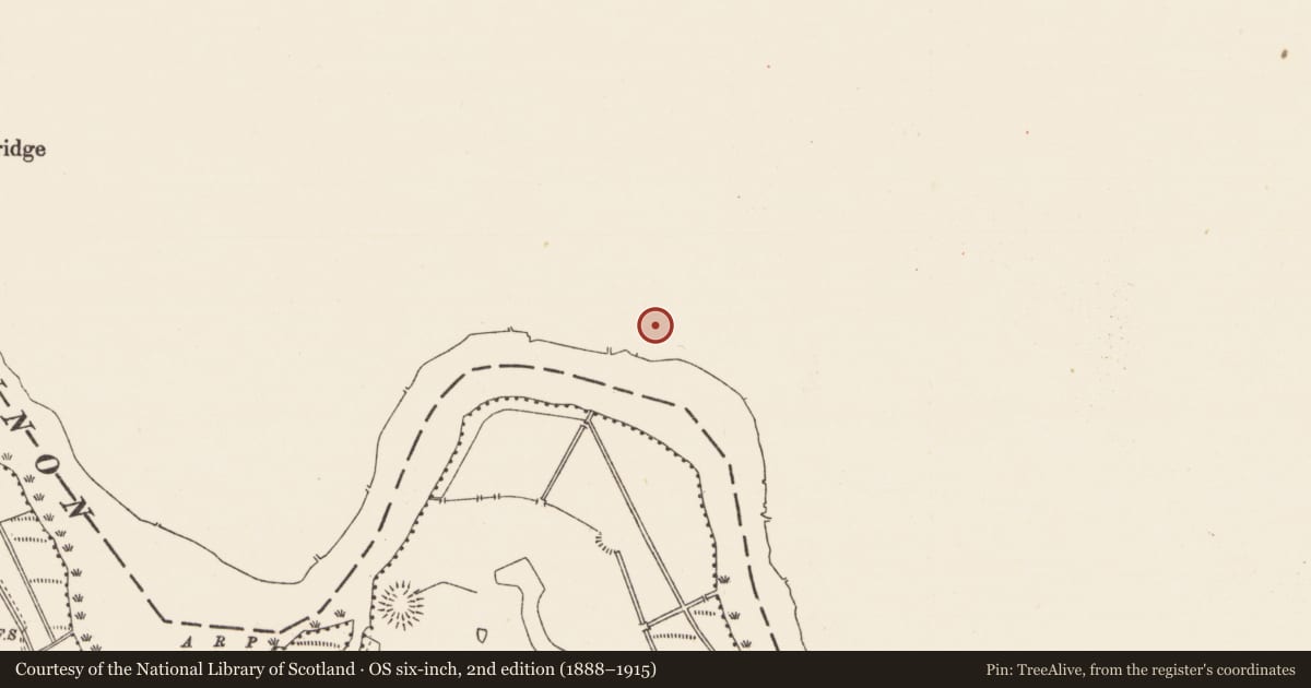 Ordnance Survey six-inch map, 2nd edition (1888–1915) covering the location of Mound, Annaduff, County Leitrim, with a pin at the register's coordinates